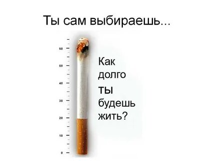 КАЗАЛОСЬ БЫ В ЭТИХ СВЕРТКАХ БУМАГИ НЕТ НИЧЕГО КРИТИЧНОГО.