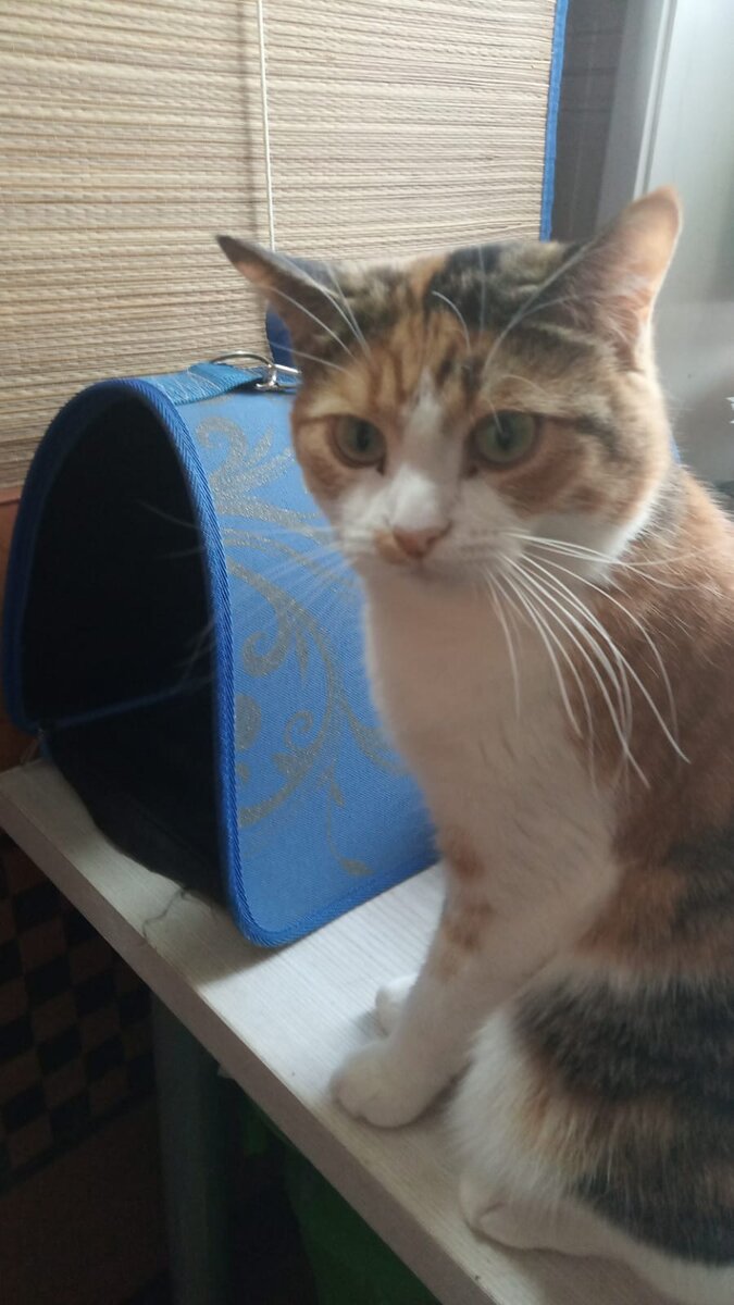 Кто орал?! Я орала?! Враньё! 