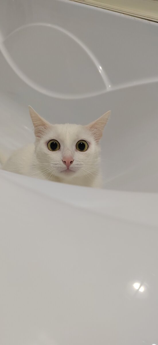 - АААААААА, меня нашлии