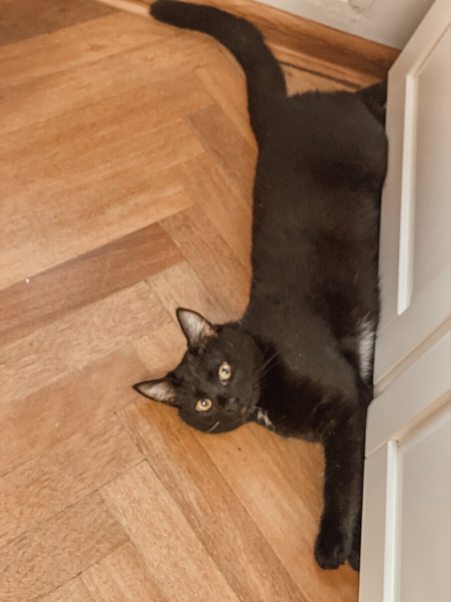 Мыть меня собралась? Не дамся!