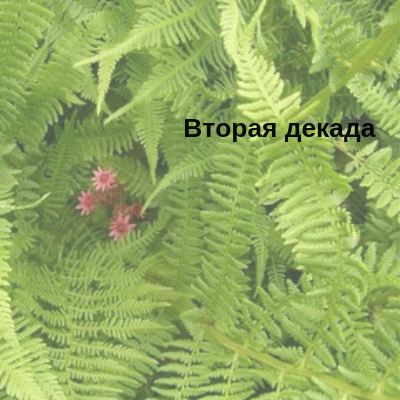 Начала прорабатывать свои установки по методике Мастер Кит и поняла, что  это Я изо всех сил разрушаю свой брак. В моем подсознании брак - это невозможность побыть одной, брак несовместим со счастьем и красивой фигурой.  И я собираю все "доказательства" правильности собственных сознательных установок - муж плохой, дети боятся папу и растут в семье неудачников...
