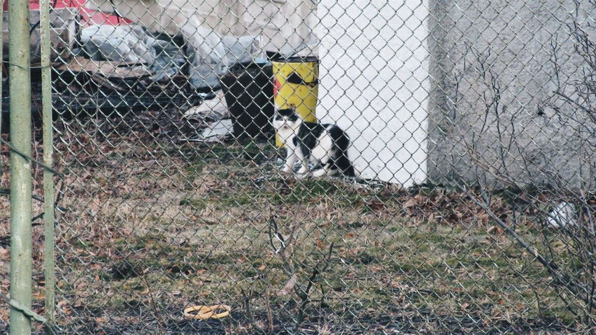 Эх, приятель, тяжко тебе там, поди... (Хотя я знаю, что не особо. 😉)