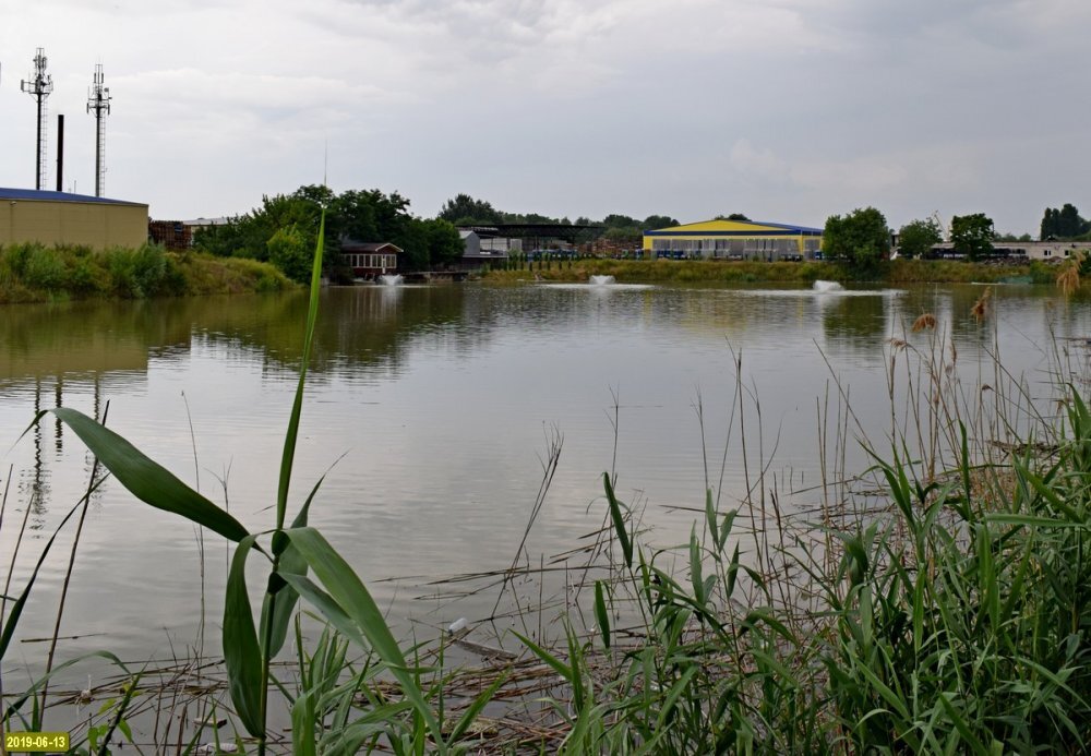 Жители обвиняют в сливе отходов в Горскую Старицу консервный завод ООО "Юнона Инвест ЛТД"