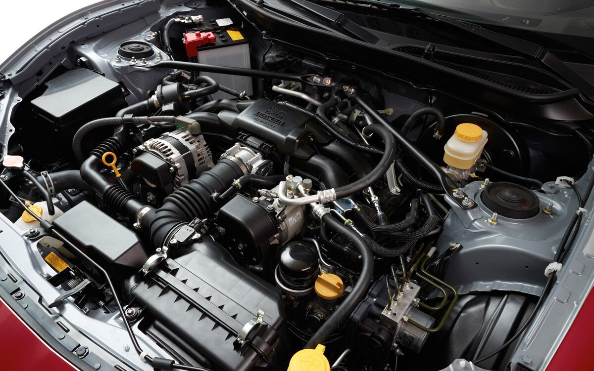 Фото из открытых источников