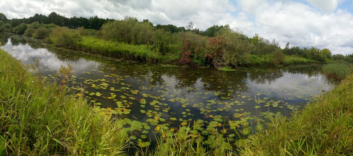Вода дырочку найдет ... (моё фото)
