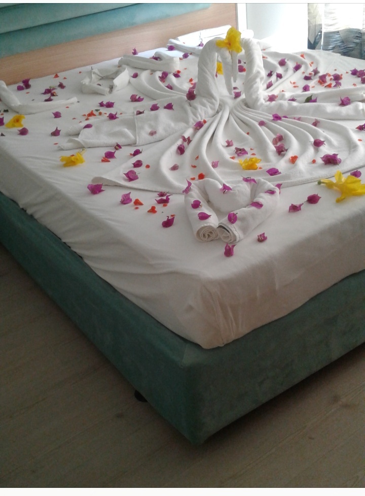 Ура я в отеле , но радость прошла через пару дней . 
Уборка явно хромала , девочки которые убирали номер по русски не понимали .
Ресепшен тоже забил , на критику уборки .
Пришлось обратиться к турагенту это была турфирма
TUI . Гид Султан быстро решил все проблемы . А я за неудобство получил подарок (красиво убранную кровать)
Только потом замучился убирать эти цветочки !