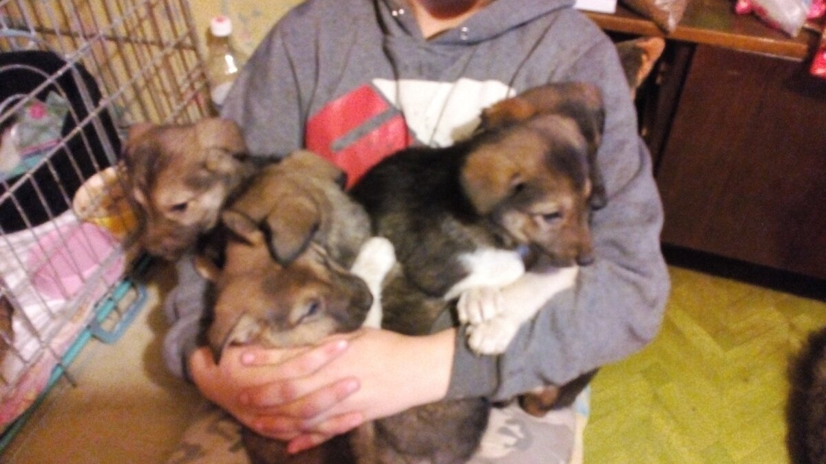 Источник фото группа в ВК Право на жизнь.Город Чусовой