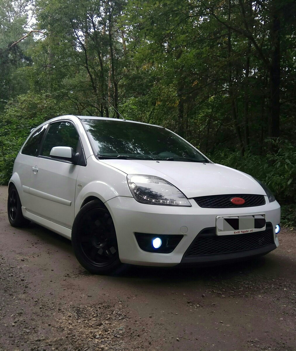 Фото взято из открытого источника