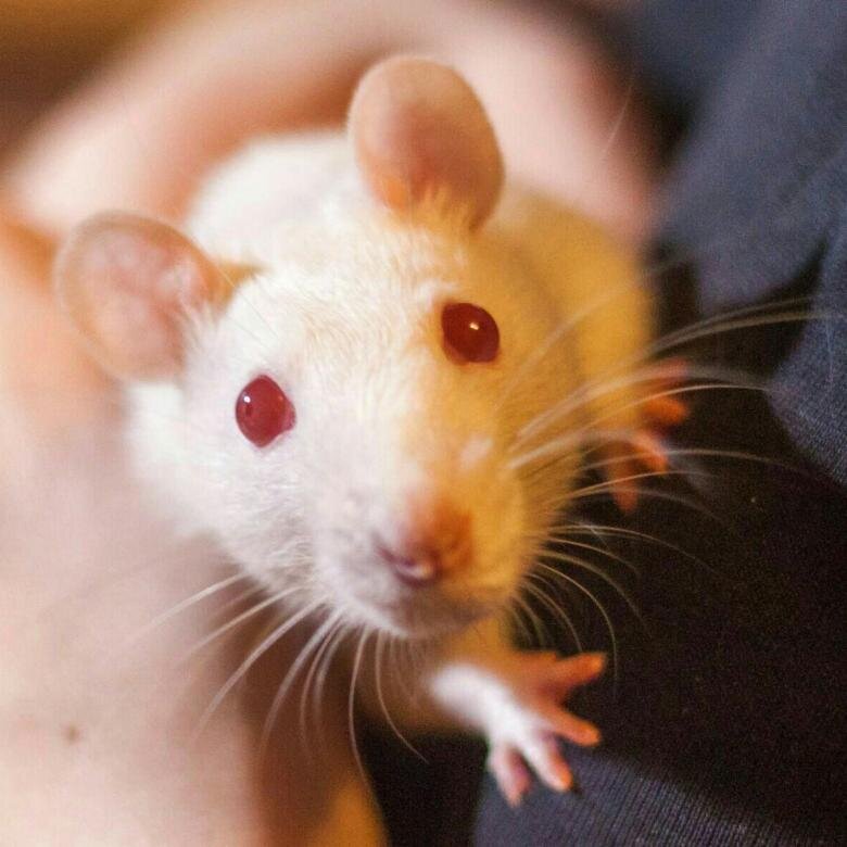 Правда она - прекрасна?