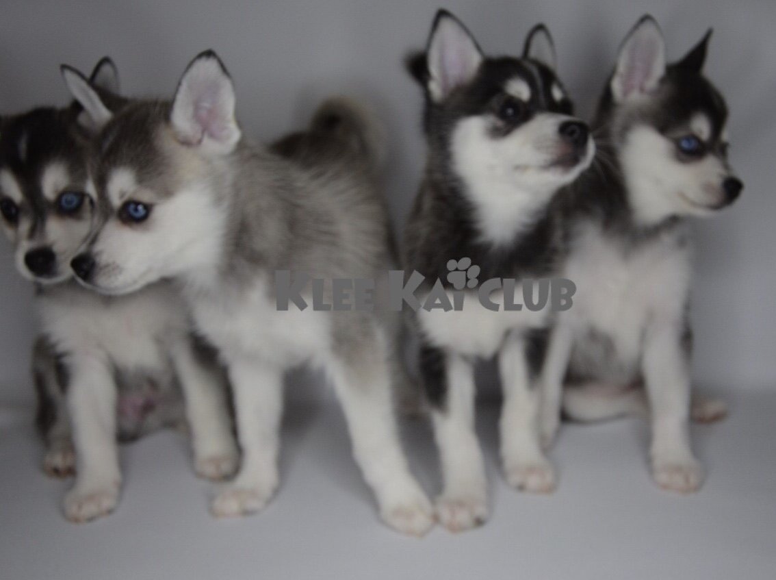 #новыйгод2020 #зима #снег #драгоценныекамни