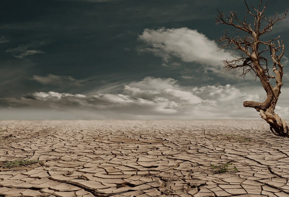 https://images.pexels.com/photos/60013/desert-drought-dehydrated-clay-soil-60013.jpeg?cs=srgb&dl=pexels-60013.jpg&fm=jpg