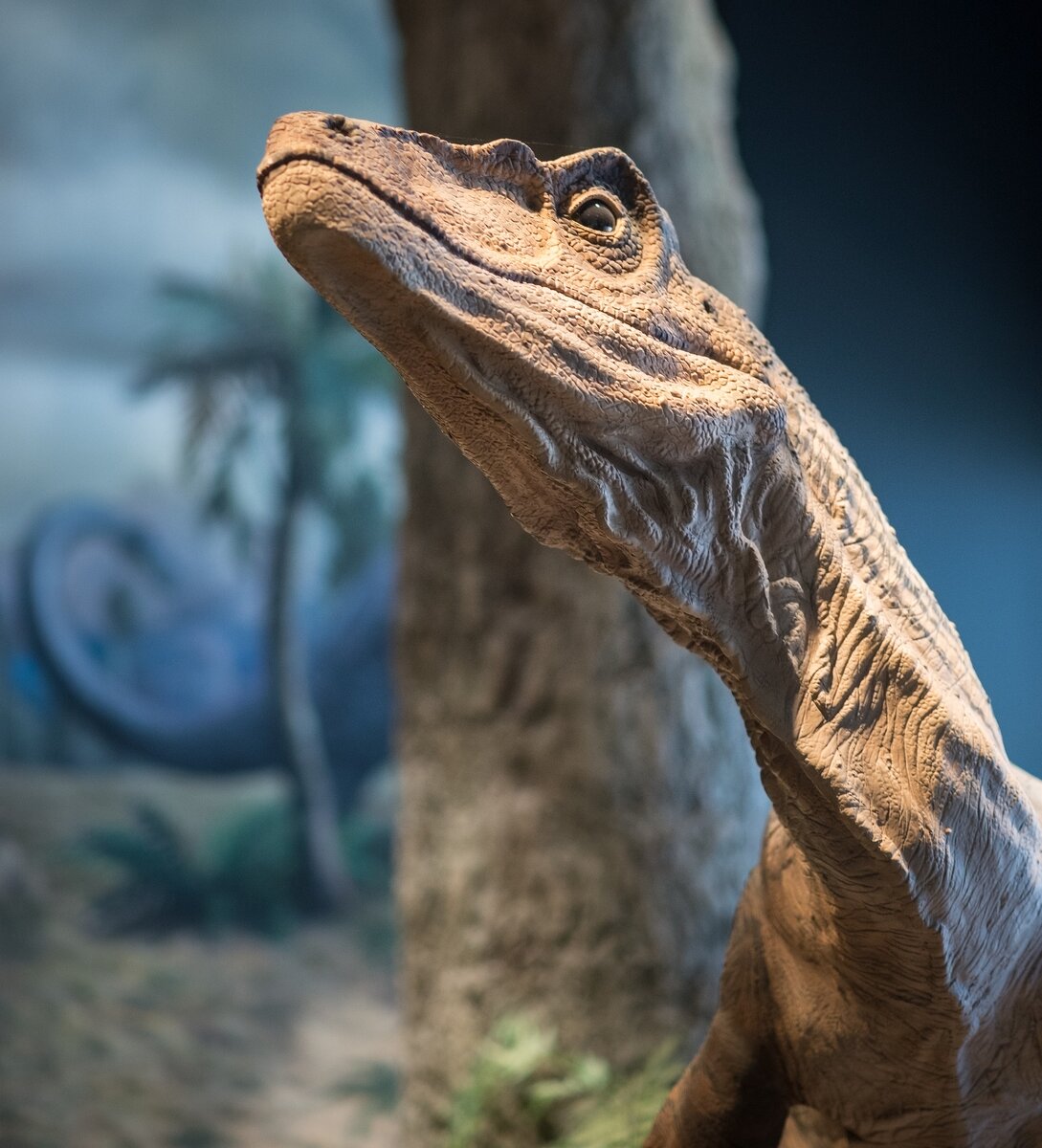 pixabay.com/ru/photos/динозавр-закрывать-портрет-голова-2389174/