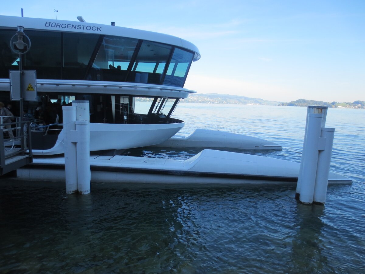 Вот такой паром отправляется примерно каждые 20 минут