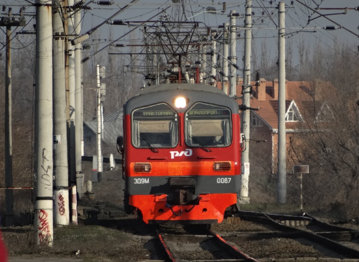 электрички белый раст икша на завтра фото 107