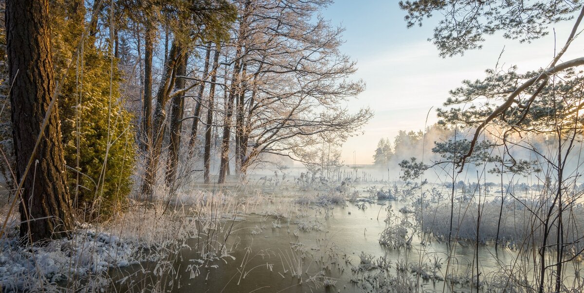 фото яндекс картинки