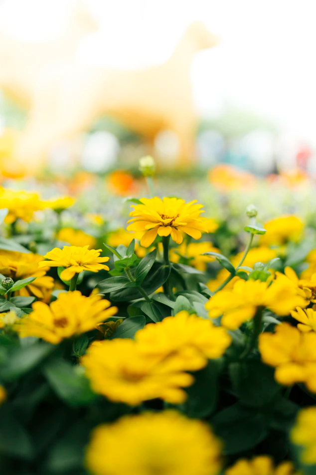 https://unsplash.com/photos/E_YDPhwTNeg