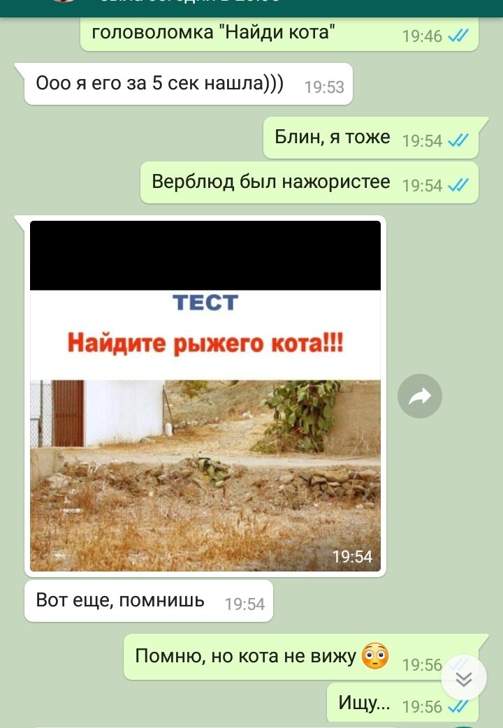 Скрин с моего телефона.