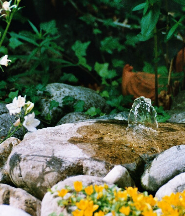 Фонтан в саду