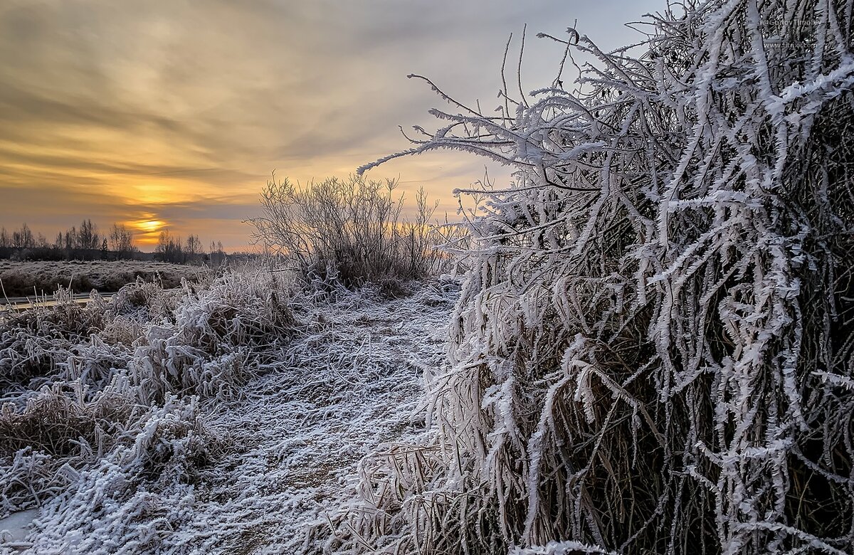 солнечное зимнее утро. река угра зимой. солнце зимой. заканчивается теплая но сухая зима. заканчивается теплая но сухая зима.
