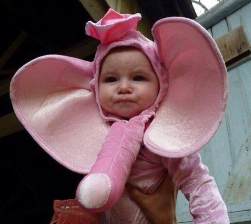 Фото их открытого источника.