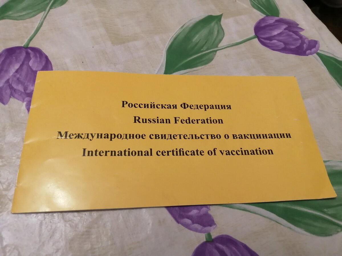 При вакцинации от жёлтой лихорадки выдают такой вот модный сертификат, в который можно вписывать и остальные прививки. Обязателен для посещения ряда стран. 