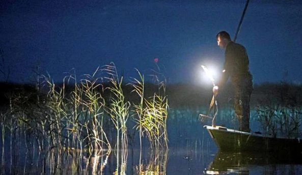 Фото Яндекс картинки