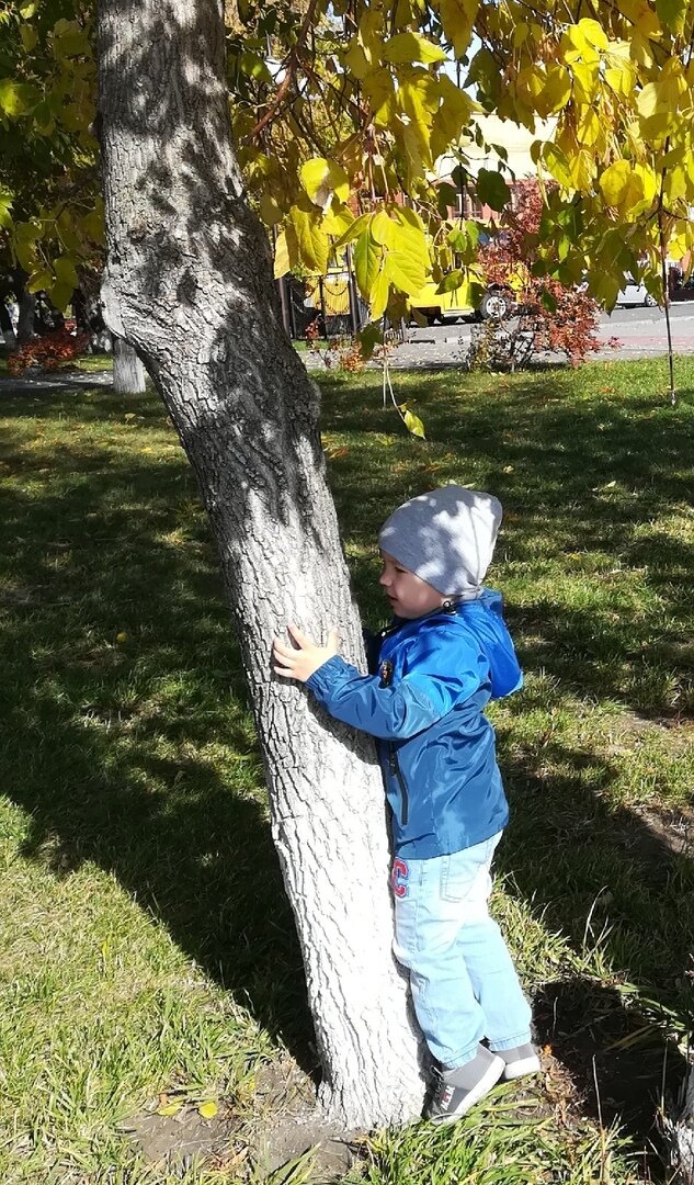 Бабушка сказала, что дерево даёт энергию. 
