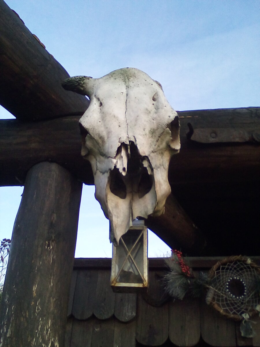 Фото автора.