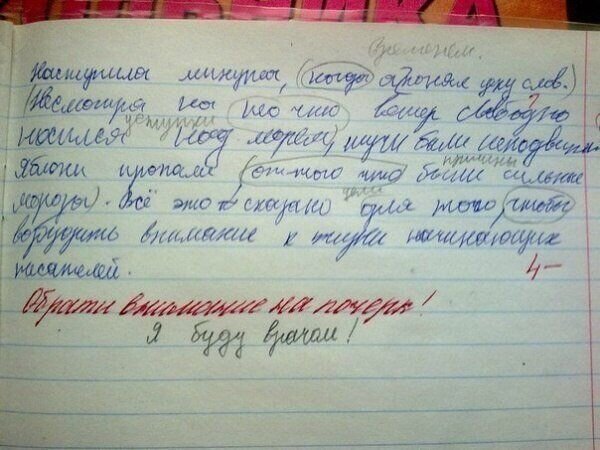 Фото из открытого источника