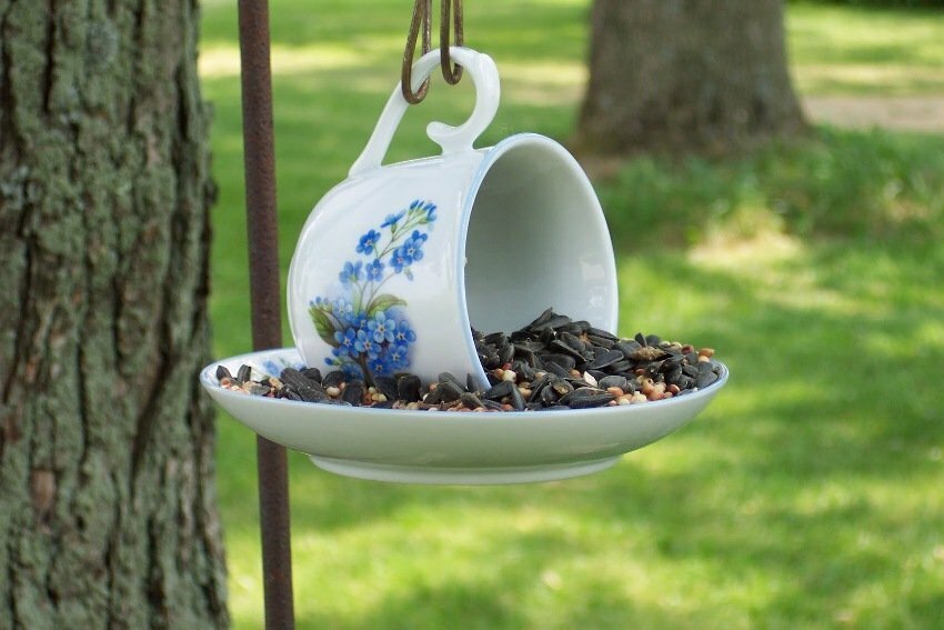 Птички наверняка оценят. Фото с сайта https://www.kakprosto.ru/