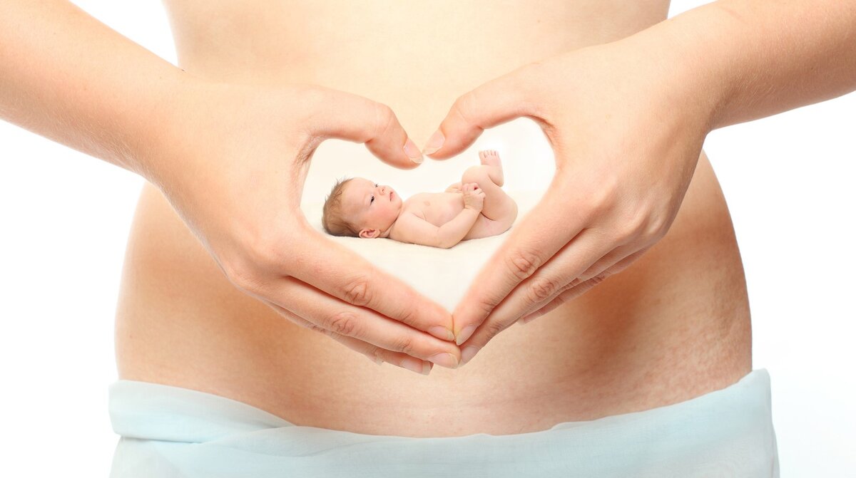 Источник фото Яндекс Картинки