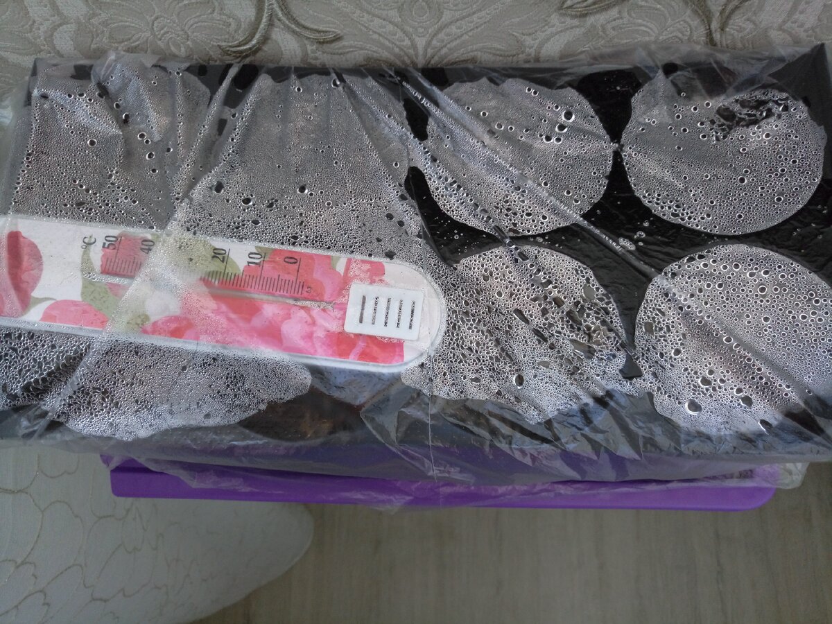 Рассада стоит на батарее. День посадки - 17 ноября. 