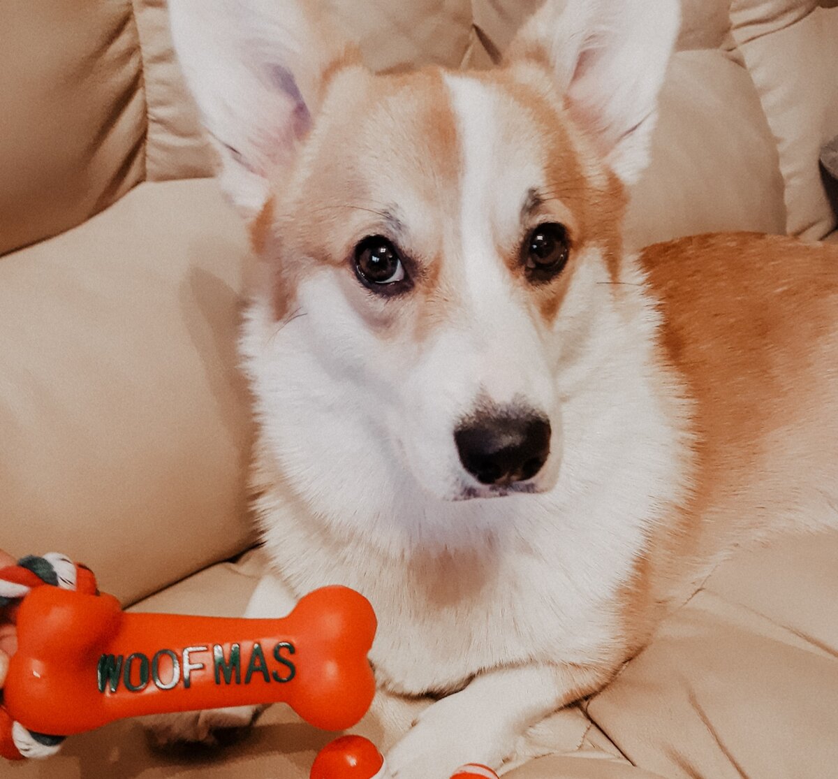 Тренирует внимательный взгляд