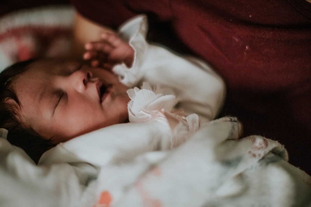 Фото из открытого источника.