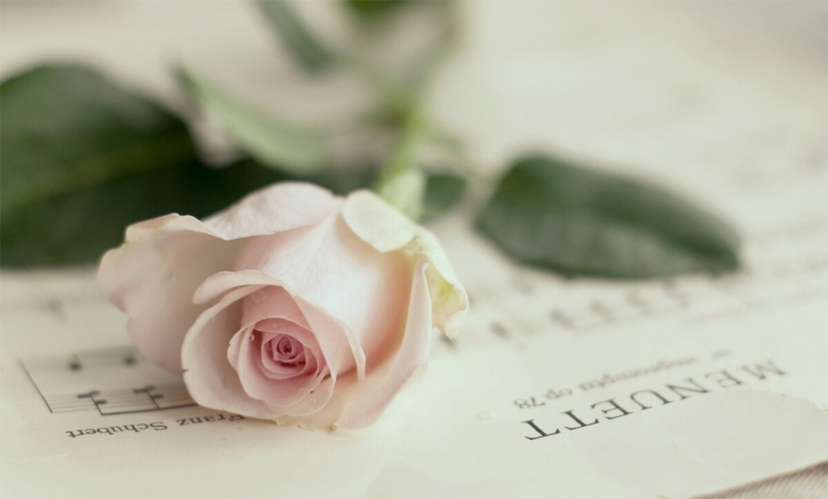 Фото с просторов интернета.