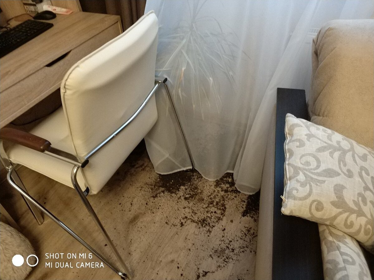 Картина называется "Как я встретил Вашу маму"