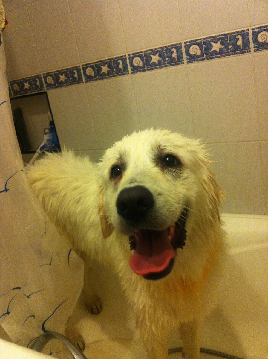 Яра, Ярика, Ярочка