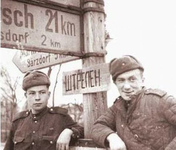 Источник: Яндекс Картинки