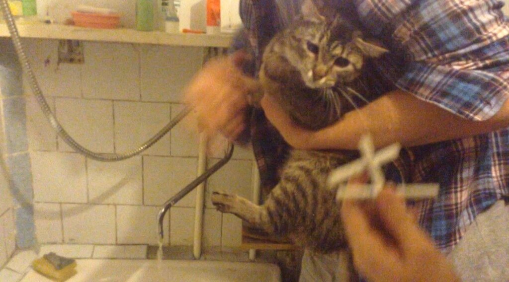 фото использовано в качестве иллюстрации. Источник "Яндекс.Картинки"