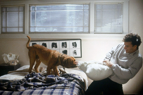 Фото из открытых источников: Яндекс