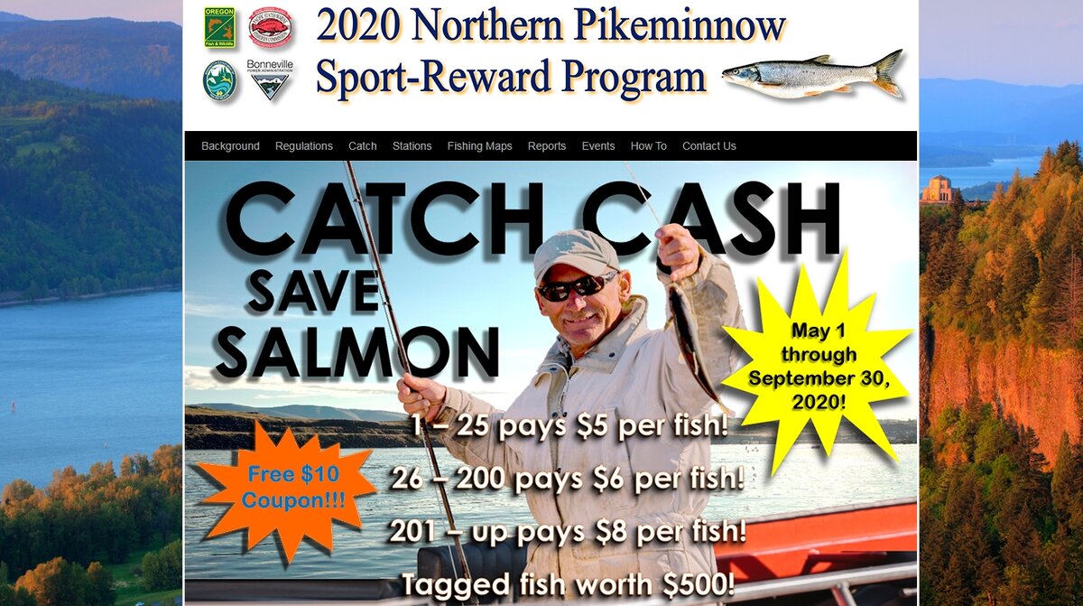 Снимок с официального сайта 