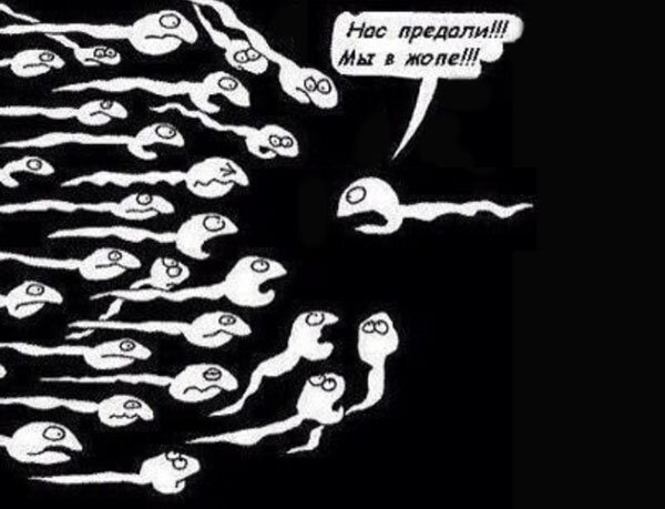 Найдено объяснение древнему латинскому высказыванию. Посткоитальная тоска - это тоска по предкам.