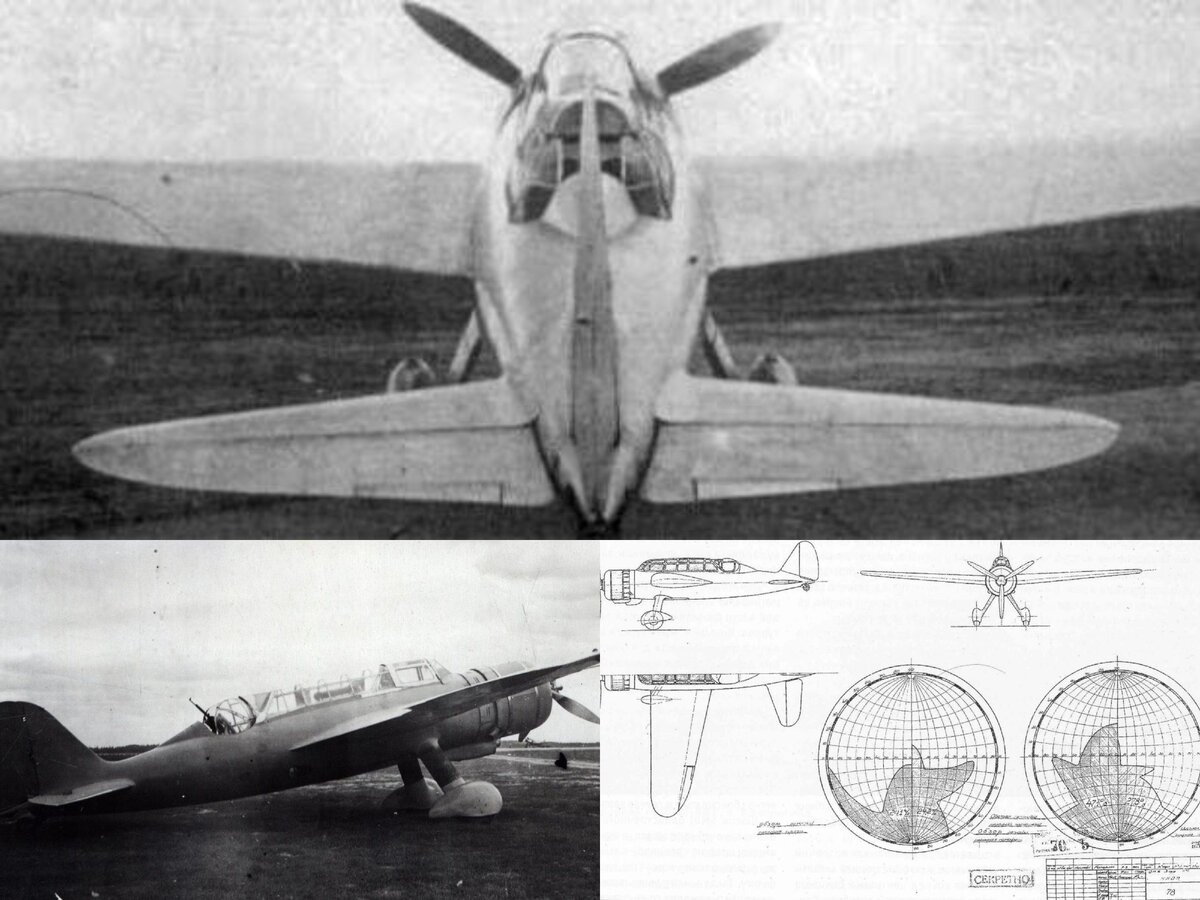 ЛШ; фото статьи взяты из открытых источников