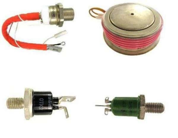 Одни из видов тринистров 