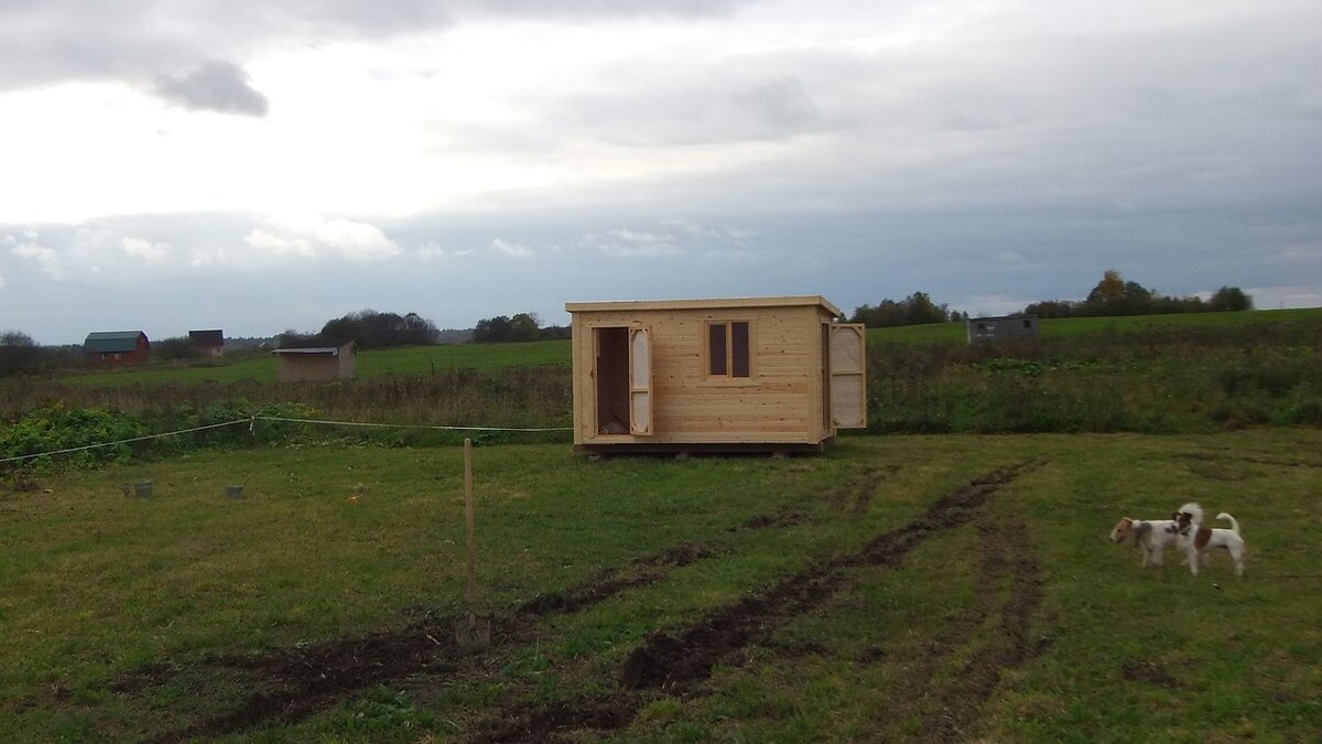 На фото это место, где стоят фокстерьеры