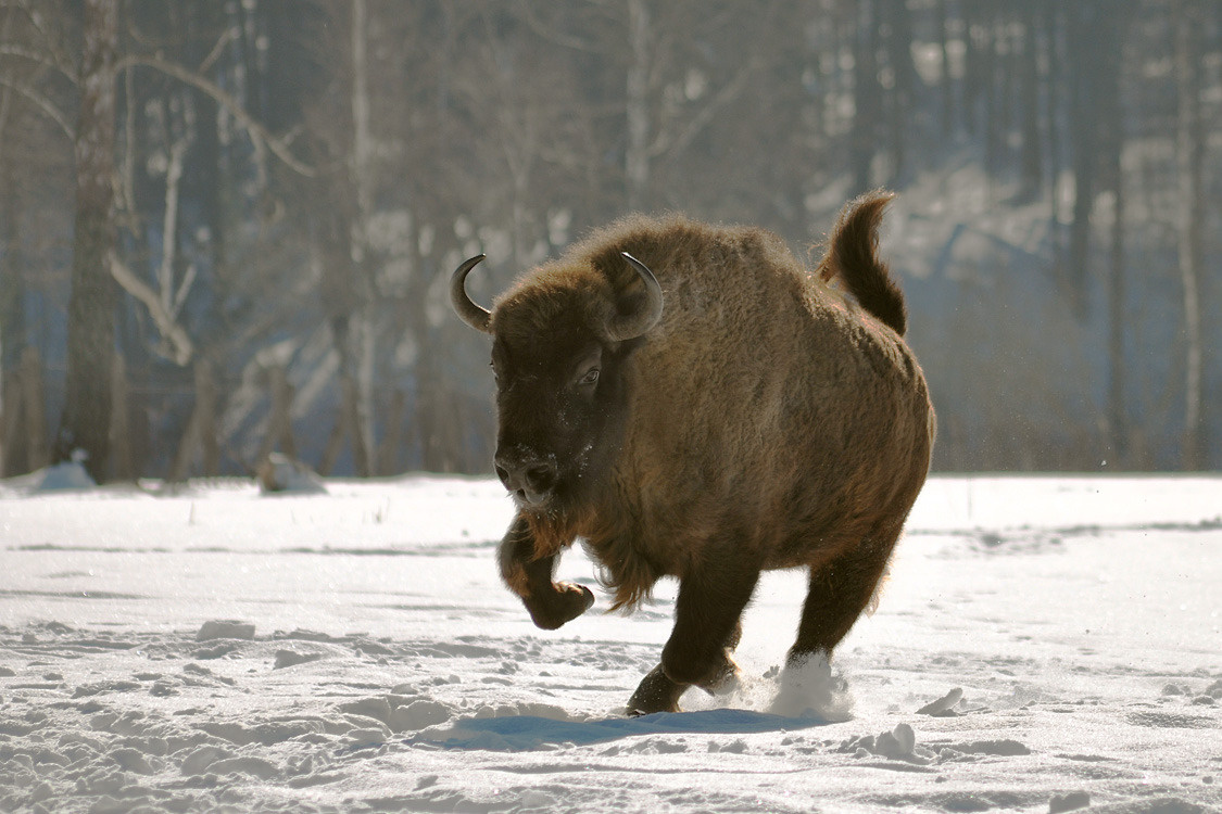 Фото: photosight.ru