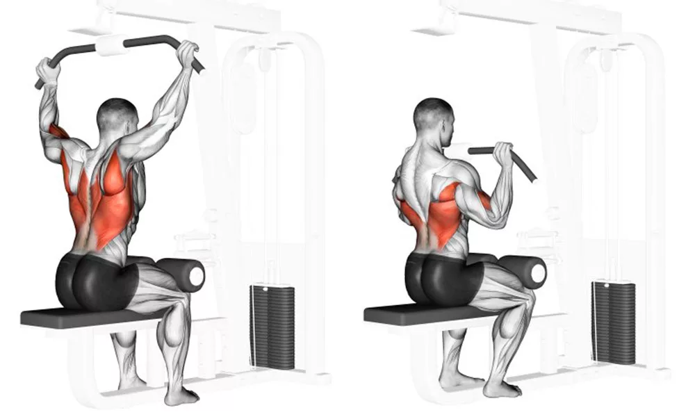 Как прокачать широчайшие мышцы спины в тренажерном зале для мужчин