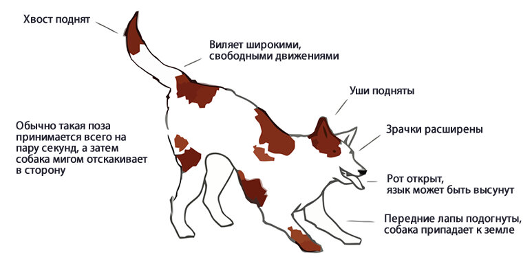 Какая любимая поза в сексе и в каком месте хотел(а) бы?