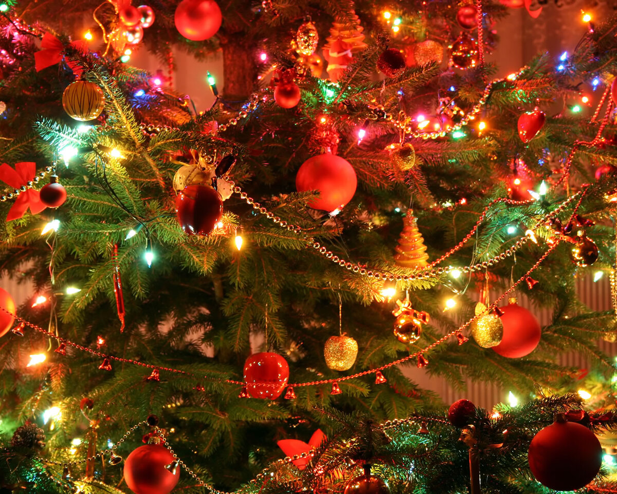 Фото взято  из интернета