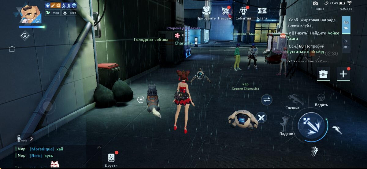 Скриншот из игры dragon raja.